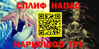 не бодяженный Новозыбков